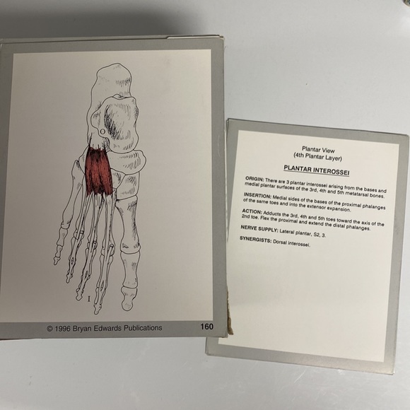 2 boxes Bryan Edwards Publishing Flash Anatomy Cards 164 each Bones Muscles - Picture 6 of 6
